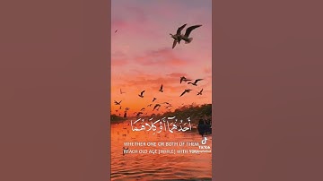 و بالوالدين إحسانا #سورة #قرآن #قران_كريم #اكسبلور #سورة_الإسراء