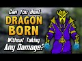 Can You Beat Skyrim: Dragonborn Without Taking Any Damage?