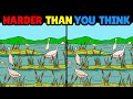 Spot The Difference🔍: Improve Your Focus in 10 Minutes [Find The Difference]