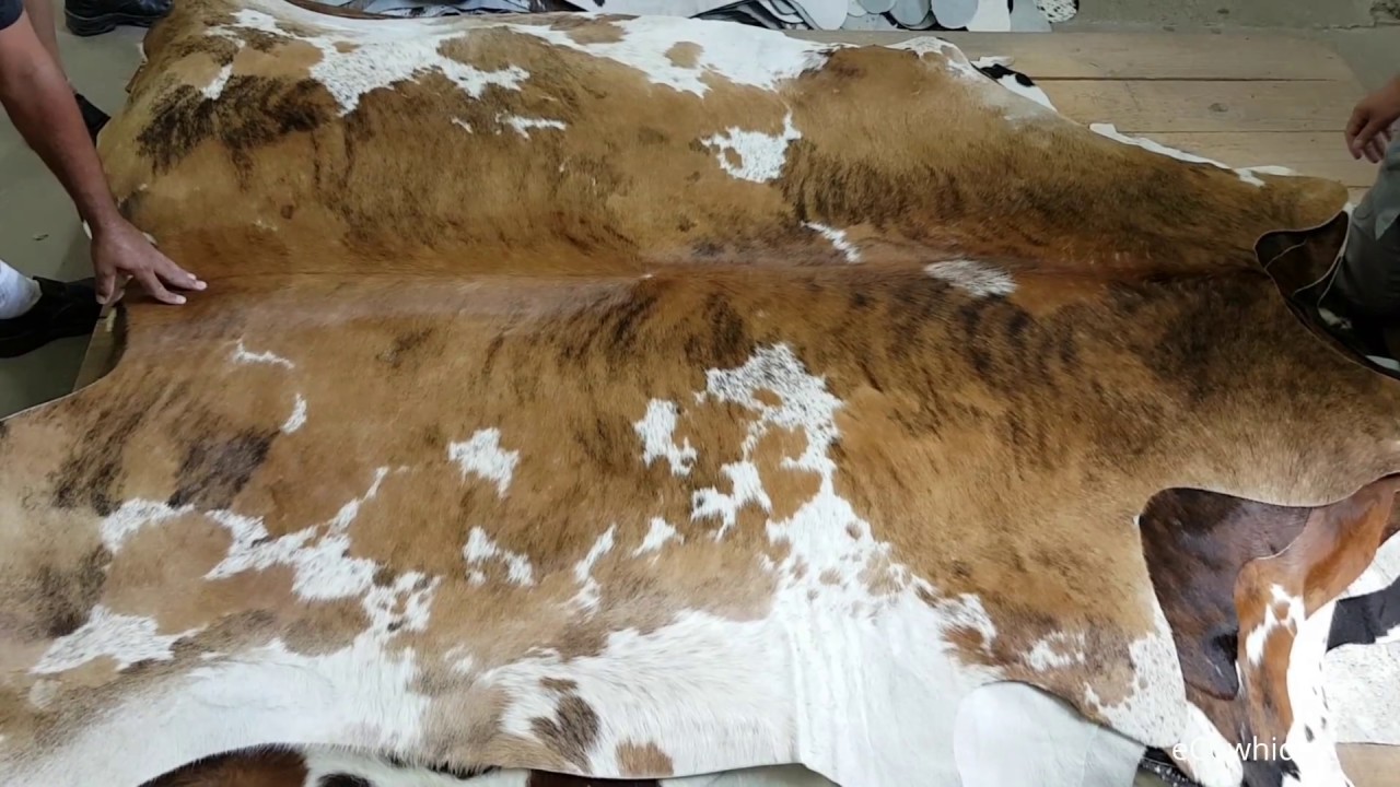 Large Tricolor Brazilian cowhide rug · eCowhides®