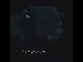 شيله انت ابيك تكون يمي  الحفره      نجومي