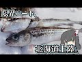 ド冬の北海道でアイナメを狙うぞ!!!!【北海道遠征前編】