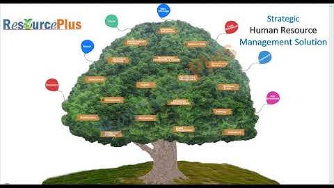 How the attendance punch got synced in the system in ResourcePlus HRMS application?
