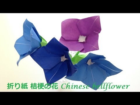 折り紙 桔梗の花 折り方 Niceno1 Origami Chinese Bellflower Tutorial Youtube