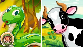 learn about animals that have cool spots patterns animal songs for kids klt wild