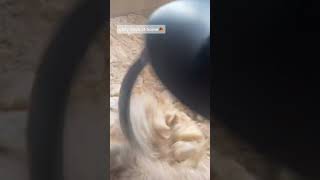 Cozy Days At Home tiktok autumnlover5