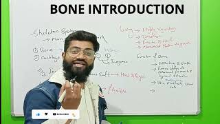Bone Introduction Anatomy | in Hindi | Made easy to learn | Part -1 |