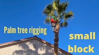 Tree rigging