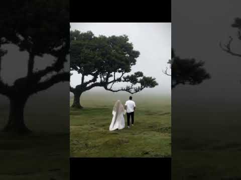 اراني اذوب ياعمري