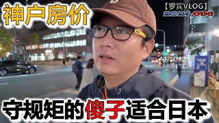 感悟日本非常适合守规矩的傻子，神户房价别墅不是梦，City walk的一天【罗宾VLOG】 by 罗宾 24,514 views 4 weeks ago 14 minutes, 53 seconds