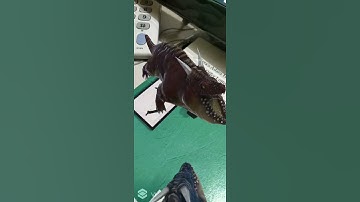 3D butterfly and dinosaur in Augmented Reality (AR).