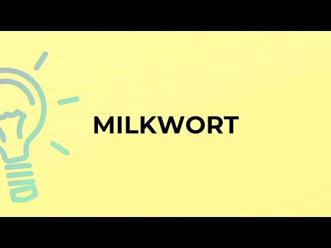 Video: Ce este milkwort portocaliu?