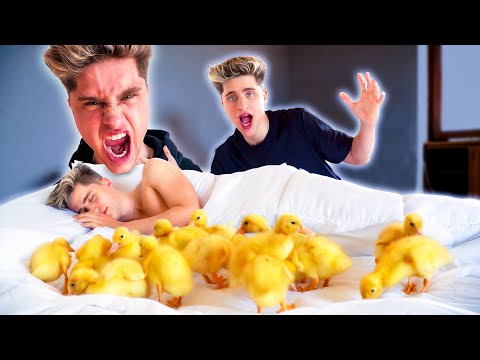 Video: Martinez Twins Net Worth: Wiki, abielus, perekond, pulmad, palk, õed-vennad