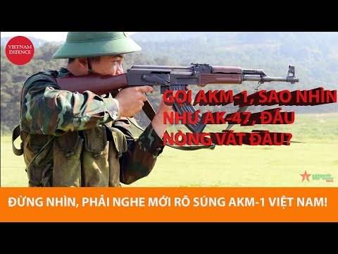 Video: Green's rifle: khẩu súng trường đầu tiên trong số những khẩu 