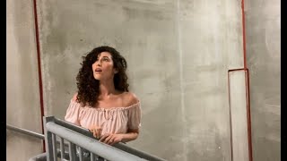 Singing "HALLELUJAH" in a Stairwell with EPIC acoustics