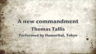 [Hamoritai] A new commandment / T. Tallis