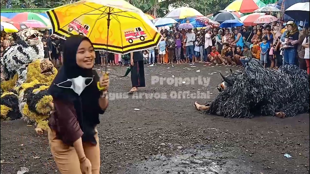 macan Ontal #jarananbanyuwangi