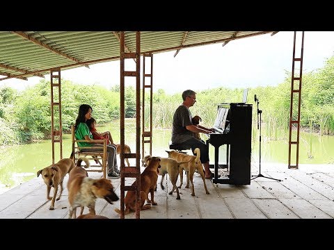 Piano Music for Shelter Dogs - Piano Music for Shelter Dogs