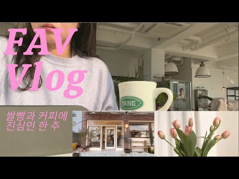 [빵순이필수체크]제주신상빵집, 제주일기, 고양이 타령, 밀가루대신 쌀빵, 커피뷰맛집 방출