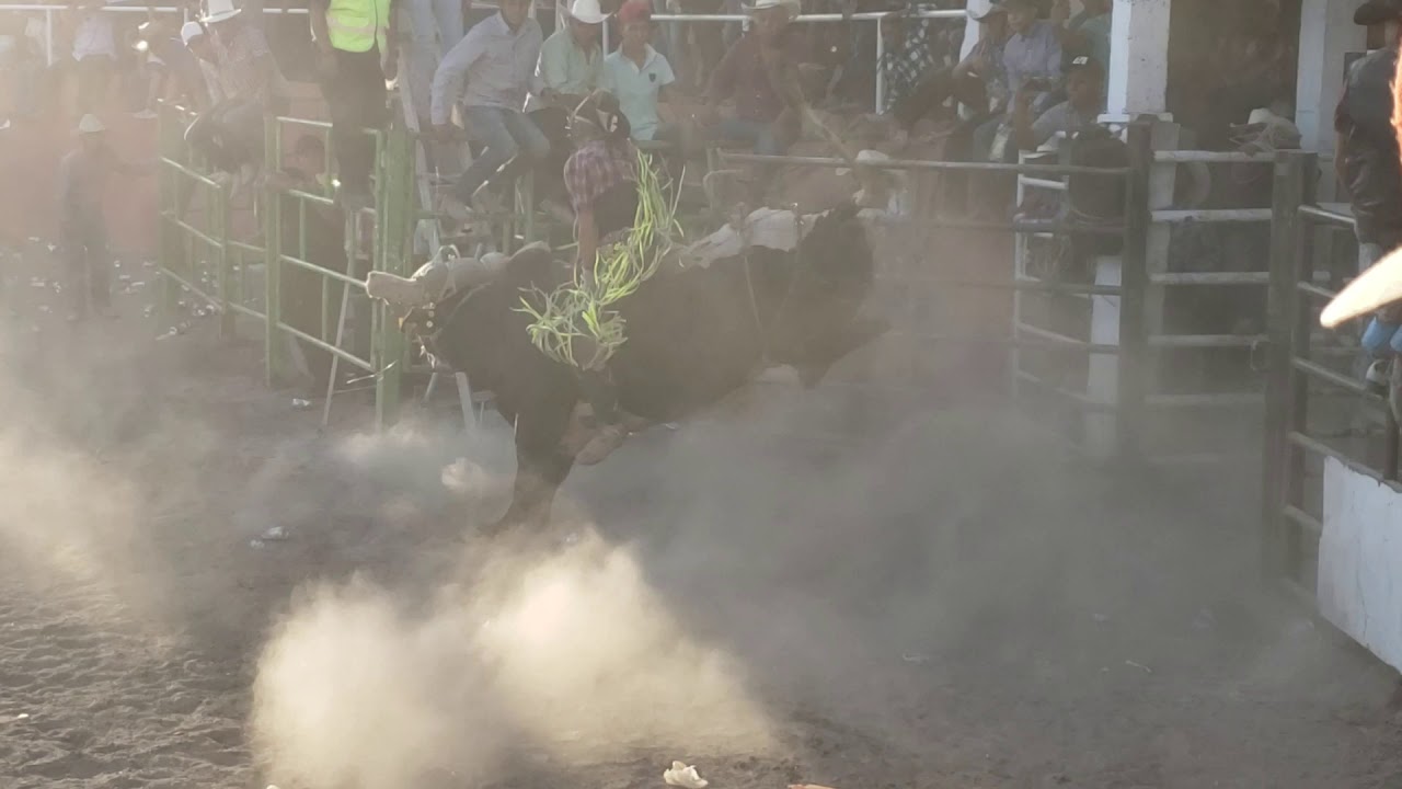 Victor Garcia vs El Tirantes de Rancho La Huerta free fonts