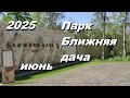 Парк Ближняя дача. Июнь 2025.