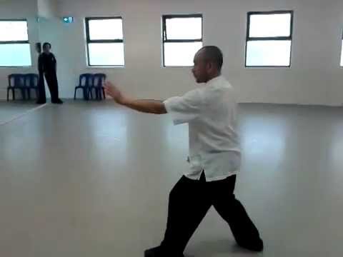 Xing Yi Quan: simple 5 element linking form - Liu Deming