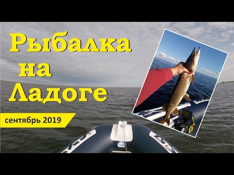 Рыбалка в Новой Ладоге. Креницы. Осенняя рыбалка в Ладожском озере.