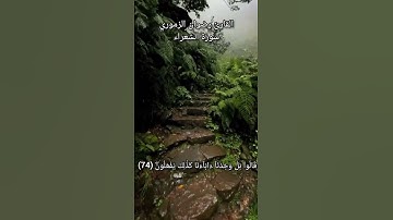 ما تيسر من سورة الشعراء #القرآن #القرآن_الكريم #سورة_البقرة #تجويد_القرآن_رائع #تلاوة #راحة_نفسية