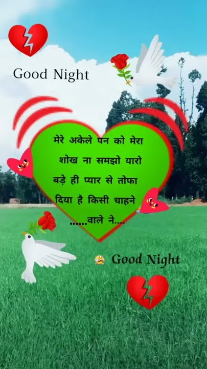 WA VID 20200208 957590f1