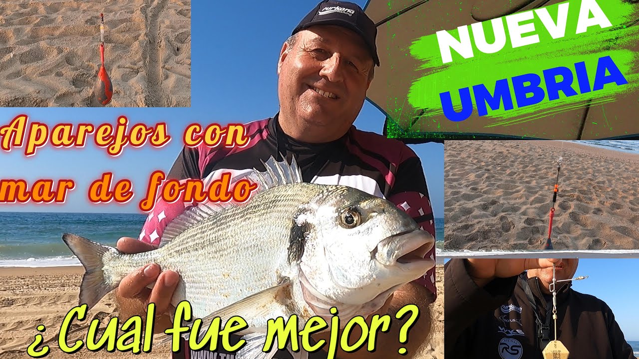 PESCA SURFCASTING CON DISTINTOS APAREJOS  DORADA EN NUEVA UMBRIA