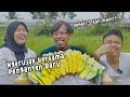 Mukbang rujak ulek bersama penganten baru  trio rakus