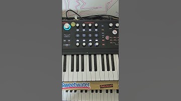 ASM Hydrasynth CHOWS ARP GD Patch A005 #asm #hydrasynth