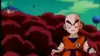 DBZ-Collie Buddz-Burn down the system