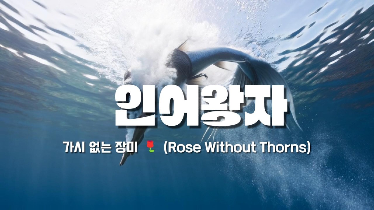 가시 없는 장미 🌹  인어 왕자 의 슬픈 사랑 노래 🎵