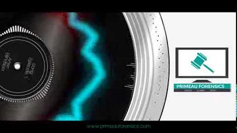 Blindspot  Episode 1   How to Build Your Expert Witness Curriculum Vitae C V 20150604 172435