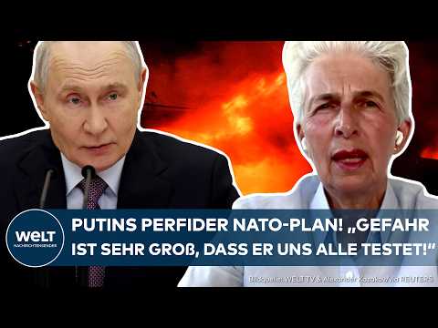US INTELLIGENCE WARNS: Putin's plan for NATO! Strack ...