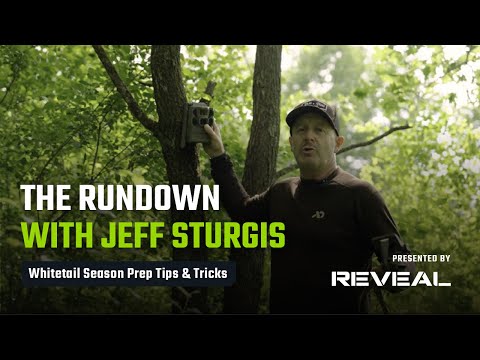 Trail Cam Placement Tips for Summer Whitetail Inventorying | The Rundown w/ Jeff Sturgis