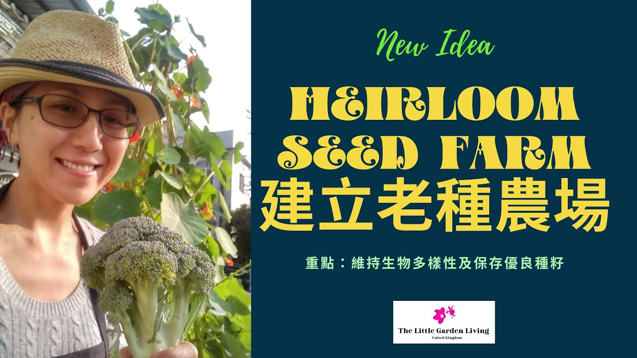 Farm Idea : Build a Heirloom Seeds Farm (Cantonese) │歸農主意:建立有機種籽農場