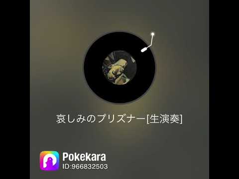 【ハモってみた：34】一夢/音源：ぐれにゃん🐈🎸/悲しみのプリズナー：桑田佳祐/