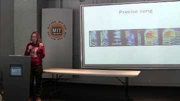 The Science of Birdsong: Emily Mackevicius at K12Live! (Cambridge Science Festival 2014)