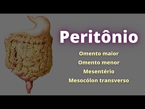 Vídeo: O que é um peritônio visceral?