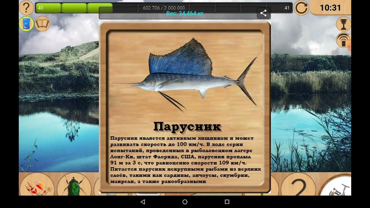 яхты и отражение в воды. пруд три пескаря по пятницкому шоссе. парусник рыба ловля. парусник рыбалка платная. марлин парусник.