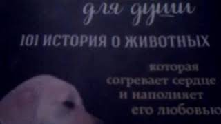 Обзор на книгу куриный бульон 101 история о животных Обзор на книгу куриный бульон 101 история о животных
