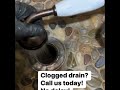 Eliminating Sewer Smells from Floor Drains: Doctor Drain’s Guide to a Fresh Home