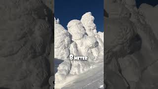 Der Meiste Schnee Der Welt