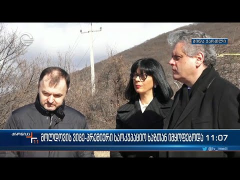 ქრონიკა 11:00 საათზე - 31 იანვარი, 2023 წელი