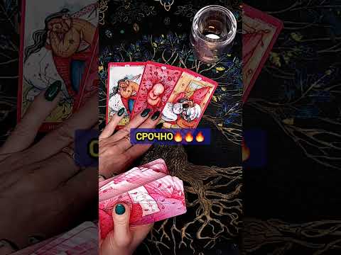 ОЧЕНЬ СРОЧНО ❗️