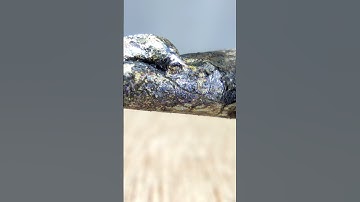 Tin melting Fun clip#shorts #funnyvideo #macro #melting #iron #me