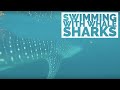 SWIMMING WITH WHALE SHARKS | Mafia Island&#39;s Gentle Giants