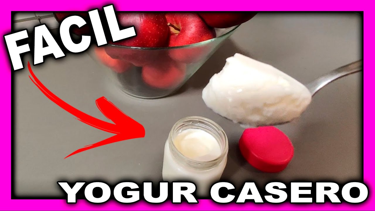 Como hacer yogurt casero